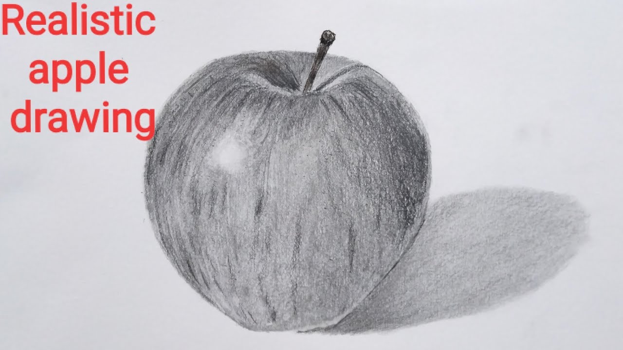 Red Apple Pencil drawing by James Simon | Artfinder