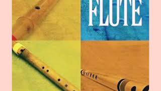 Pal Pal Dil Ke Paas Magical Flute