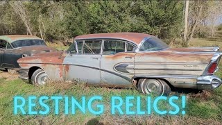Abandoned Farmstead Car Collection! 1950s to 70s Ford, Buick, Cadillac, Chevrolet & Studebaker!