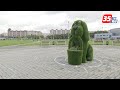 Большая травяная собака Тобик поселилась в одном из парков Череповца