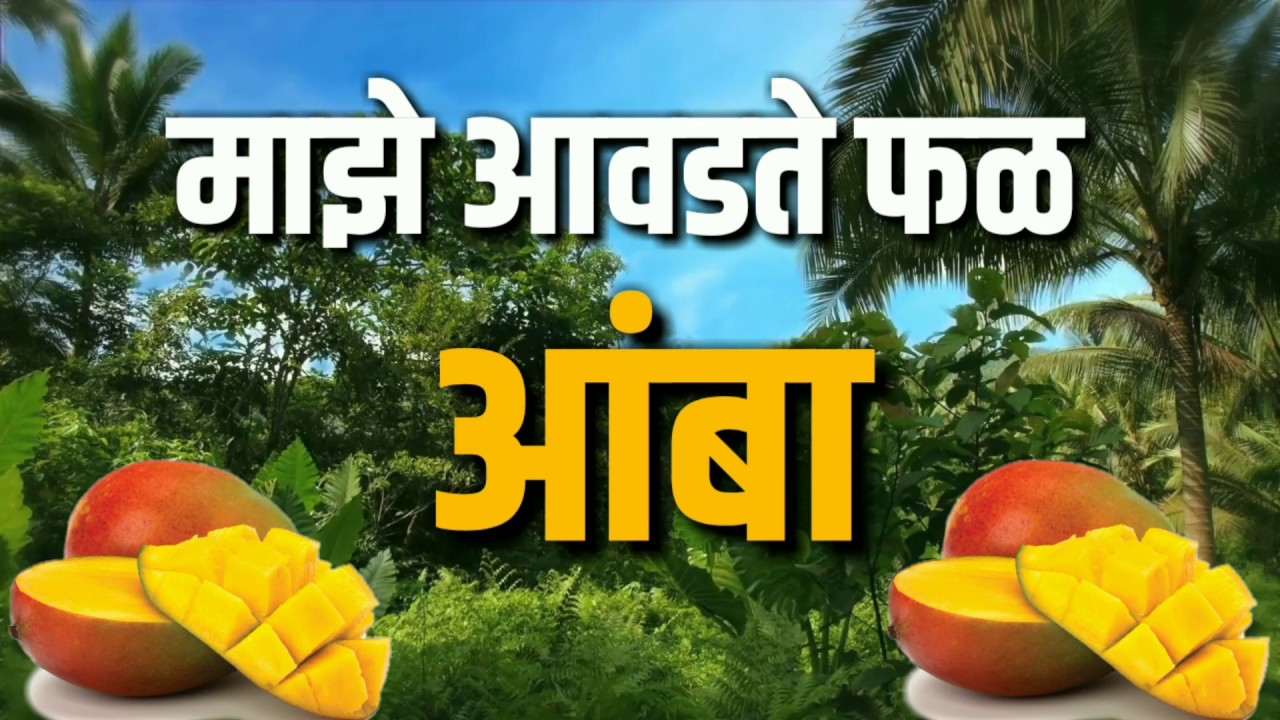 mango essay writing in marathi