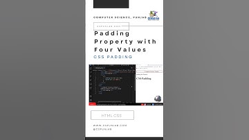 Padding Property with Four Values | CSS Padding | HTML CSS |  CSPunjab.Com #short #html #35