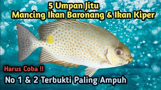 5 UMPAN PALING JITU MANCING IKAN BARONANG DAN IKAN KIPER|| Nomor 1 & 2 Paling Gacor screenshot 4