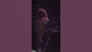 LION JAM RASS - aku ws paham