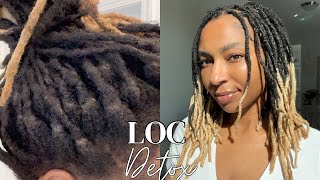 How to: CLEAN BUILDUP OUT OF LOCS WITHOUT ACV RINSE| No Soaking Method| iamLindaElaine
