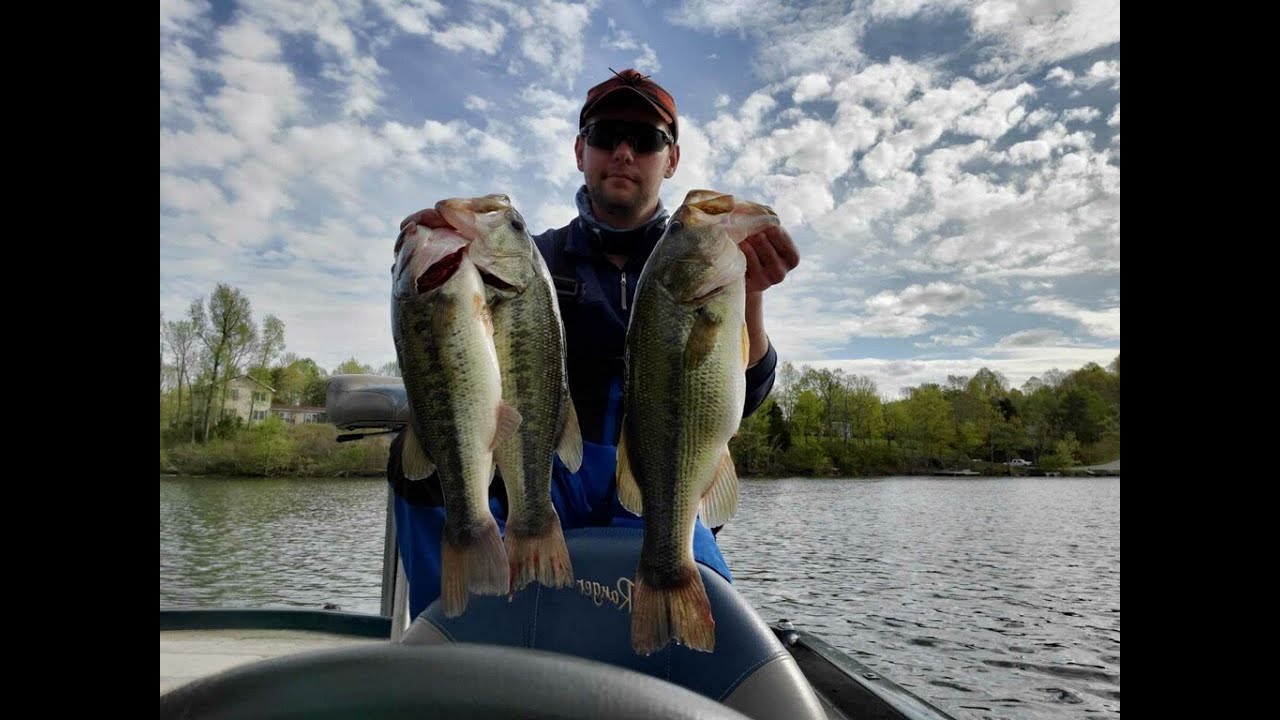 Catching Bass on Beds 4.5lb Largemouth at Lake Beshear YouTube