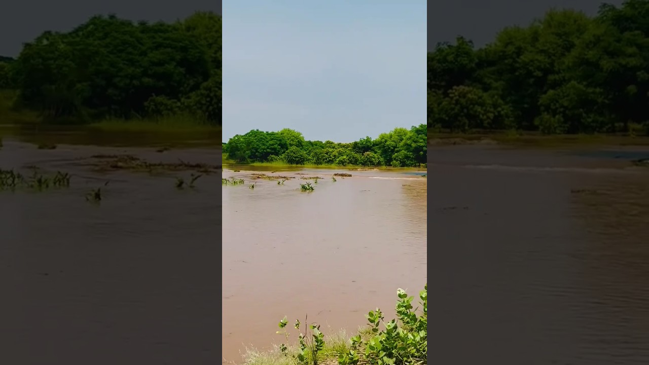 Multan water level Chenab River is continuously increasing, water collected near safety dam bridge