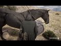 Red dead redemption 2: full black race horse location