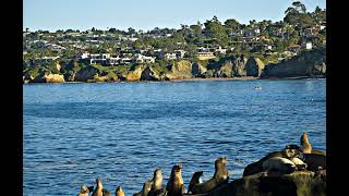 San Diego - Wikipedia