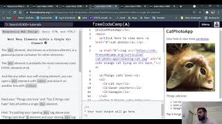 FreeCodeCamp Responsive Web Design Episode 4