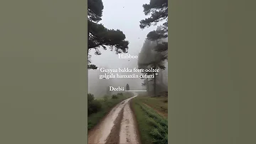 Hiibboo Deebii Commentii Irratti Barreessaa 