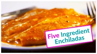 Unbelievable 5-Ingredient Vegetarian Enchiladas - You Won't Believe It's This Simple!