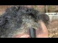ASMR Scalp Care and Scratching Sounds for Better Sleep #1044