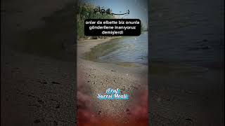 Araf Suresi 73/79. Ayet Meali