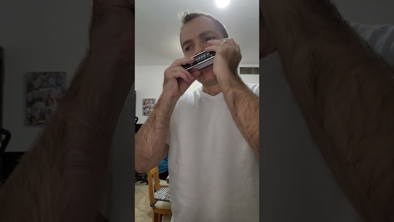 Le Cygne (The Swan) on Chromatic Harmonica with Tongue Vibrato - v.1