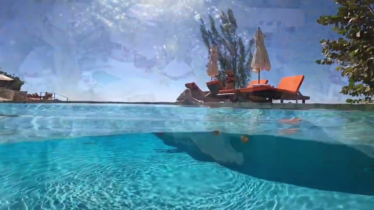 Tensing Pen Drone Video,  by Jim Varley