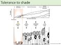 Tolerance to shade / Tolérance à l’ombre