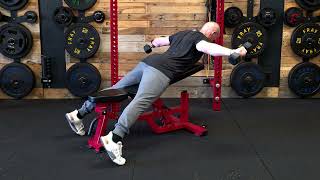 Prone Reverse Flys