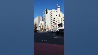 Suasana spring di Tokyo