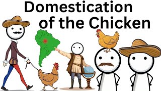 Why the Chicken Got Domesticated