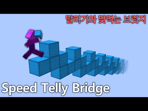 스피드 텔리 브릿지의 모든것(강좌)