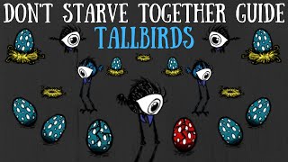Don't Starve Together Guide: Tallbirds