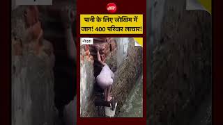 VIRAL VIDEO: Noida के सेक्टर-78 में पानी को तरसते 400 परिवार! | #noidaauthority #shorts #viralnews