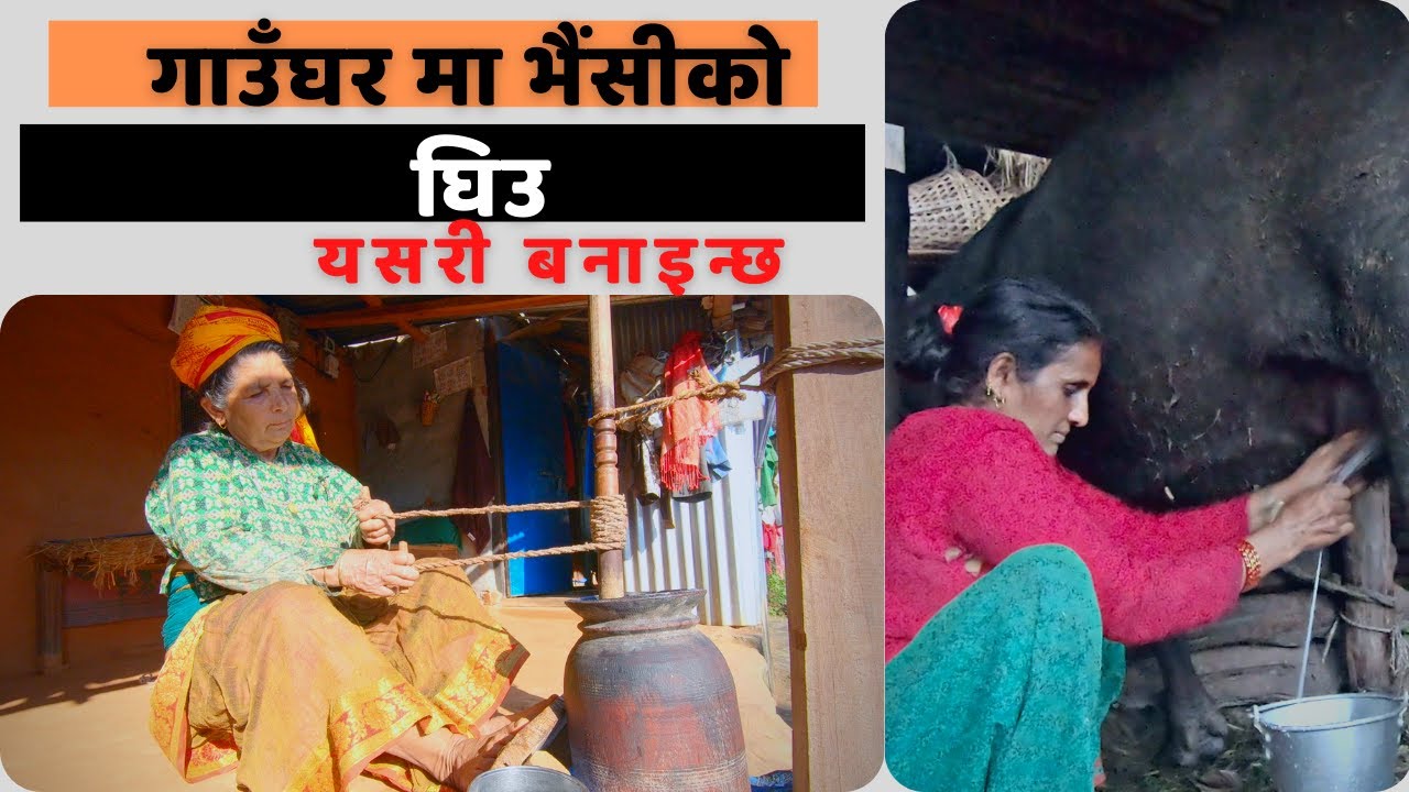 Grandmother making Buffalo Ghee in the village | Village style GHEE / Homemade Ghee in the 