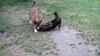 MVI_0032.AVI