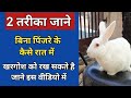 khargosh ko pinjare ke bina raat me kaise rakhe || How to keep rabbit without cage in night || Guplu