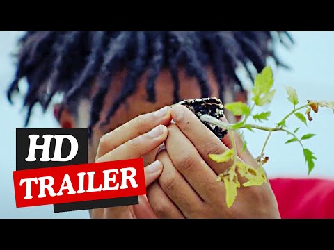 Sacred Soil: The Piney Woods School Story Official Trailer (2024) Hulu