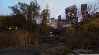 Amazing Sunset Time-Lapse of Fall Colors in Central Park, New York City