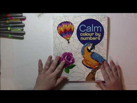 Color & Chat: Calm Colour by Number (adult coloring)