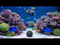 Amazing 4K Ocean Adventure 🐳 Dive Deep and Marvel at Sea Animal in The Best 4K ULTRA HD Aquarium