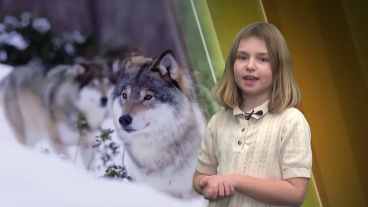 Academy KIDSTV - Путешествие на черепахе №55 (2022)