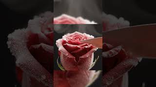 Frozen rose petal sliced open… you won’t believe the reveal! 🌹❄️ #satisfying #asmr #relaxing