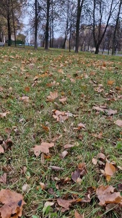 Осень,проспект Янки Купалы Гродно Беларусь - YouTube