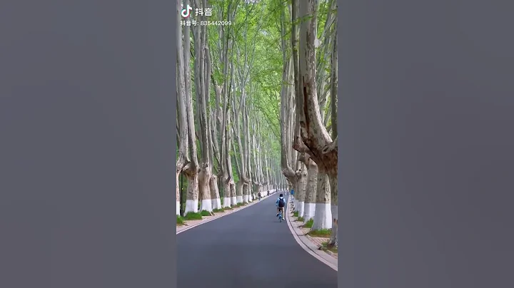 #beutifull #china - DayDayNews