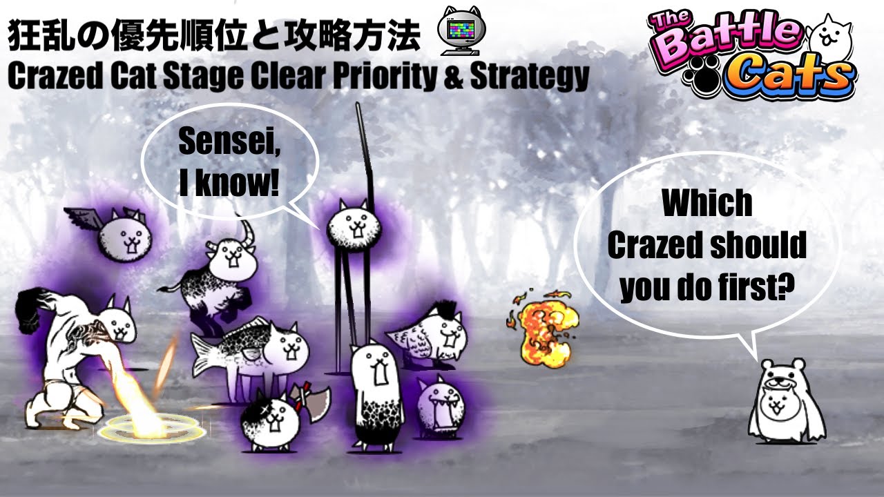 Battle Cats Crazed Cats Guide: Which Crazed Cat Should I Do First? When Is  Crazed Festival? - Youtube