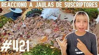 REACCIONO a JAULAS para HAMSTER de SUSCRIPTORES by Pequeños Roedores 723 views 1 month ago 18 minutes