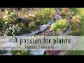 Ansley Gardens, Warwickshire; a passion for plants