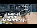 Sleeping with over 150+ TARANTULAS to Save Electricity !!!