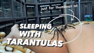 Sleeping with over 150+ TARANTULAS to Save Electricity !!!