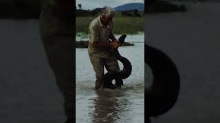 Watch this classic clip from Mutual of Omaha's Wild Kingdom!