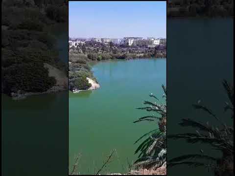 ضاية الالفة او كما تسمى في الاحياء القريبة ضاية ميريكان الدار البيضاء