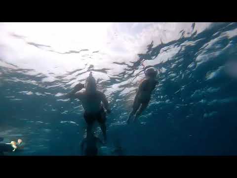 Egypt - Marsa Alam (Blue Reef) 2024 + Hamata Korály