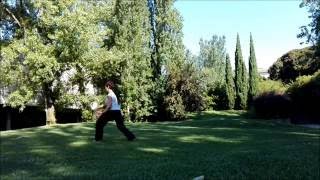 Tai Chi Wu Xuan - Forma Natural #1