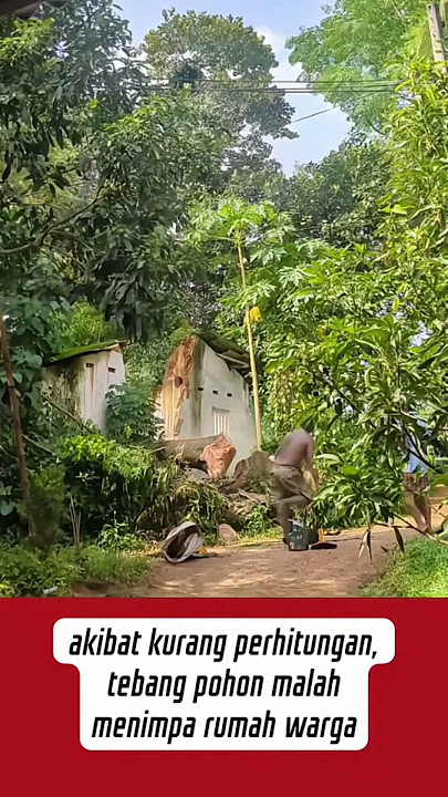 akibat salah perhitungan, nebang pohon kena rumah warag #viralvideo #viralshort #viral