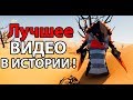 Лучшее видео в истории !