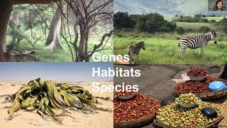 Webinar Replay: Banks as Agents for Biodiversity